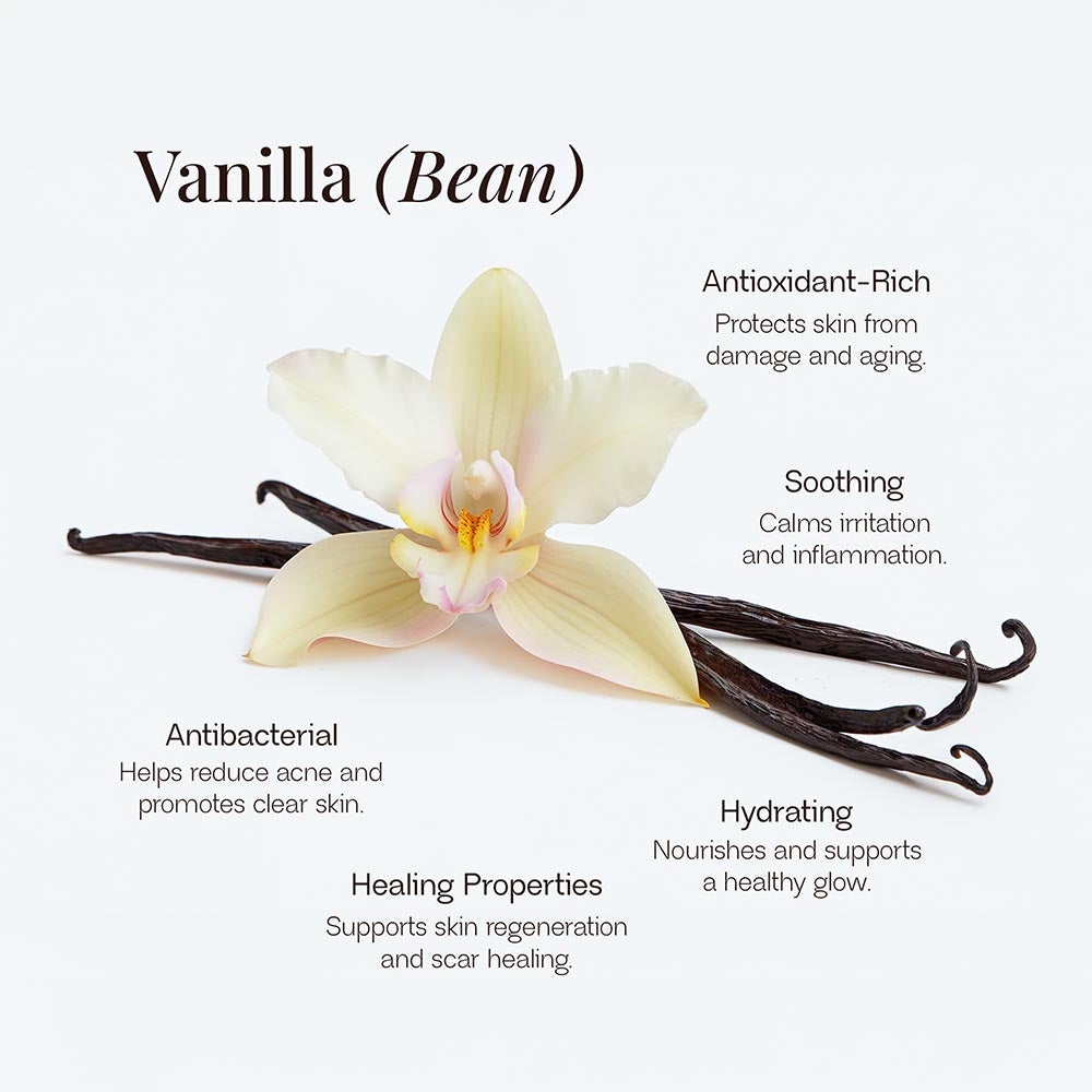 Whipped Grass-Fed Tallow Balm with Vanilla Bean