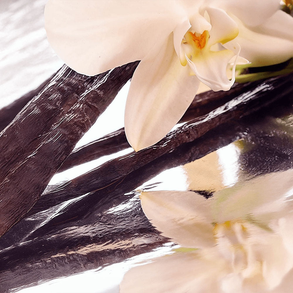 Whipped Grass-Fed Tallow Balm with Vanilla Bean